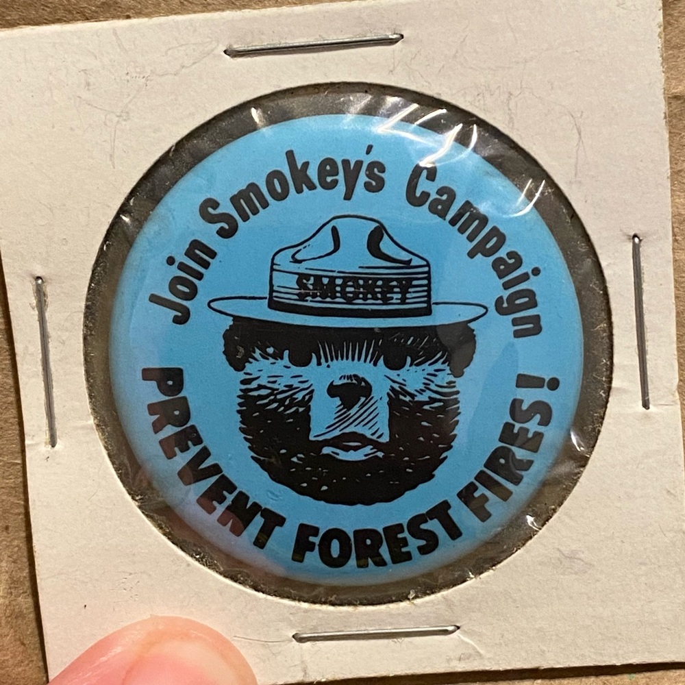5/$25 Vtg Smokey the Bear Button